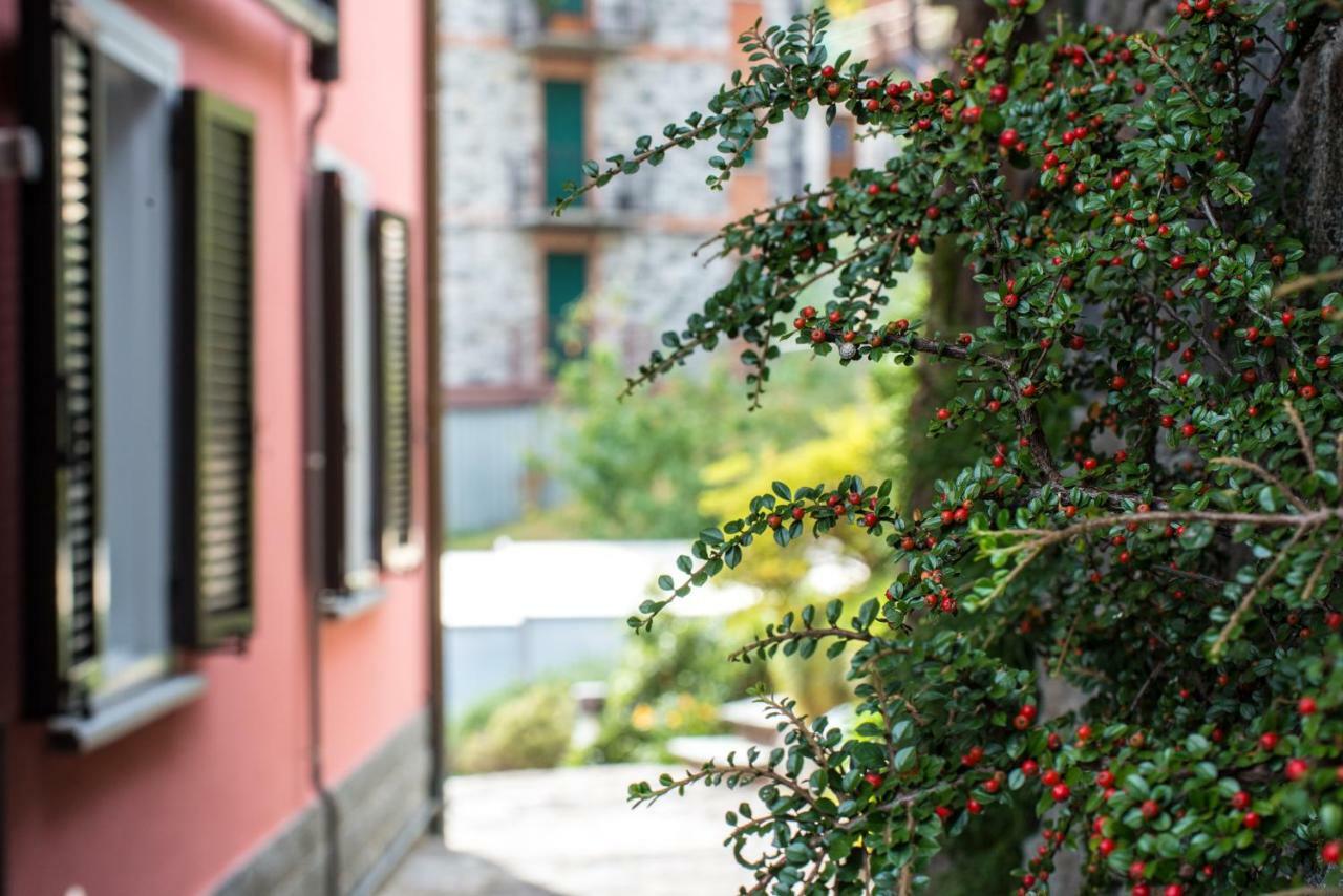 Residence Casa Rosa Gera Lario Exterior foto